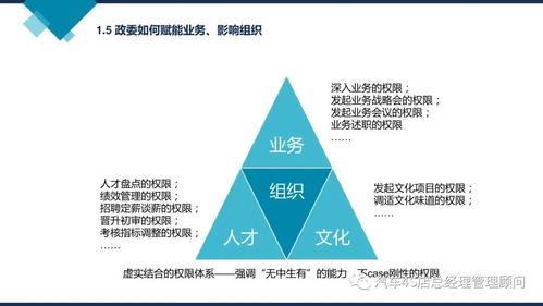 阿里巴巴组织能力建设 驱动企业持续增长的核心引擎